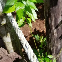 Shipstern Nature Reserve - Chunox