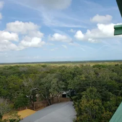 Shipstern Nature Reserve - Chunox