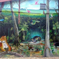 Shipstern Nature Reserve - Chunox