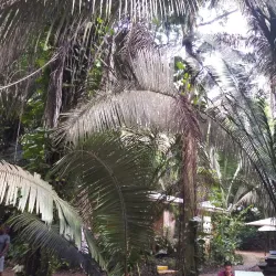 Cave Tubing Adventures - Hopkins