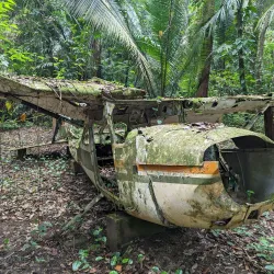Cockscomb Basin Wildlife Sanctuary - Hopkins