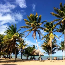 Hopkins Beach - Hopkins