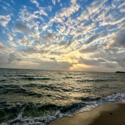 Hopkins Beach - Hopkins