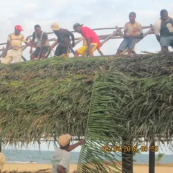 Hopkins Beach - Hopkins