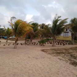 Hopkins Beach - Hopkins