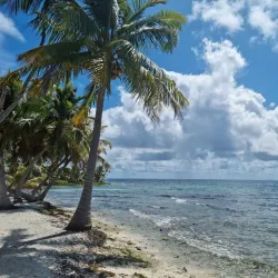 Laughing Bird Caye National Park - Hopkins