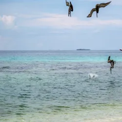 Laughing Bird Caye National Park - Hopkins