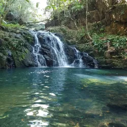 Mayflower Bocawina National Park - Hopkins
