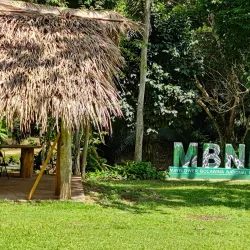 Mayflower Bocawina National Park - Hopkins