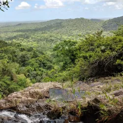 Mayflower Bocawina National Park - Hopkins