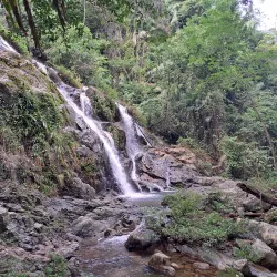Mayflower Bocawina National Park - Hopkins