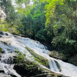 Mayflower Bocawina National Park - Hopkins