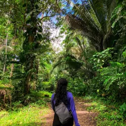 Mayflower Bocawina National Park - Hopkins