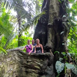 Mayflower Bocawina National Park - Hopkins