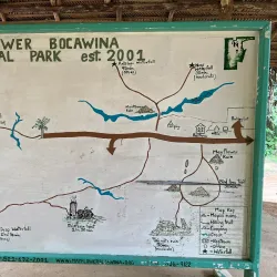 Mayflower Bocawina National Park - Hopkins