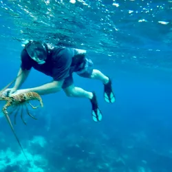 Sea Kayaking and Paddleboarding - Hopkins