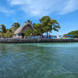 Sea Kayaking and Paddleboarding - Hopkins