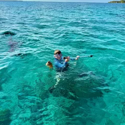 Sea Kayaking and Paddleboarding - Hopkins