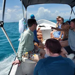 Sea Kayaking and Paddleboarding - Hopkins