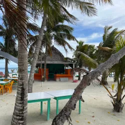 Sea Kayaking and Paddleboarding - Hopkins