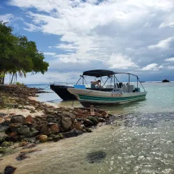 Sea Kayaking and Paddleboarding - Hopkins