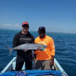 Sea Kayaking and Paddleboarding - Hopkins