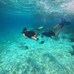 Sea Kayaking and Paddleboarding - Hopkins