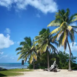 Belize Barrier Reef - Placencia
