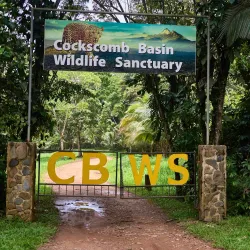 Cockscomb Basin Wildlife Sanctuary - Placencia