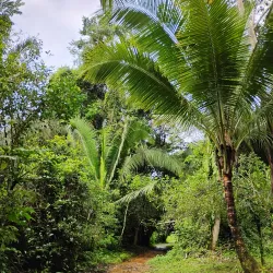 Cockscomb Basin Wildlife Sanctuary - Placencia