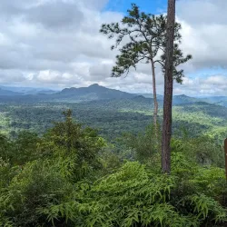 Cockscomb Basin Wildlife Sanctuary - Placencia