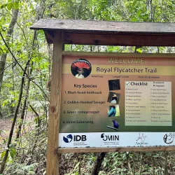 Cockscomb Basin Wildlife Sanctuary - Placencia