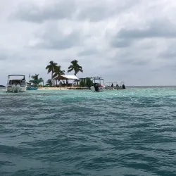 Gladden Spit and Silk Cayes Marine Reserve - Placencia