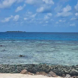Gladden Spit and Silk Cayes Marine Reserve - Placencia