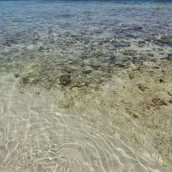 Gladden Spit and Silk Cayes Marine Reserve - Placencia