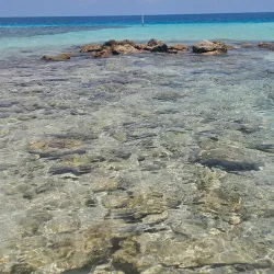 Gladden Spit and Silk Cayes Marine Reserve - Placencia