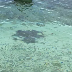 Laughing Bird Caye National Park - Placencia