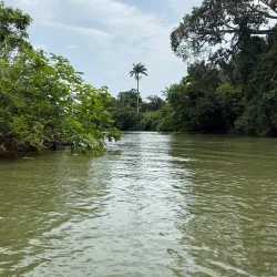 Monkey River - Placencia