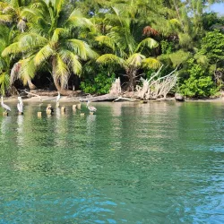 Monkey River - Placencia