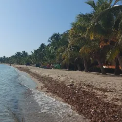 Placencia Beach - Placencia
