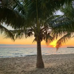 Placencia Beach - Placencia