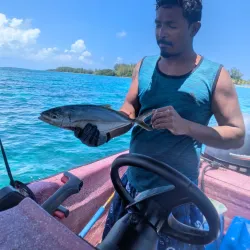 Placencia Beach - Placencia