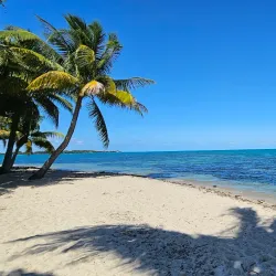 Placencia Village - Placencia