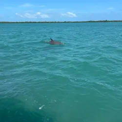 Sea Sports Belize - Placencia