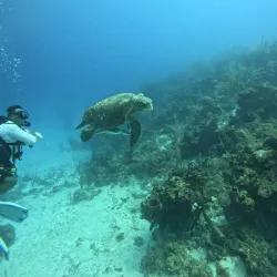 Sea Sports Belize - Placencia