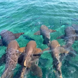 Sea Sports Belize - Placencia