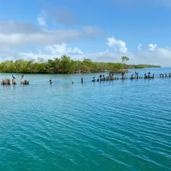 Sea Sports Belize - Placencia