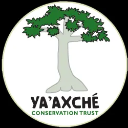 Bladen Nature Reserve - Punta Gorda