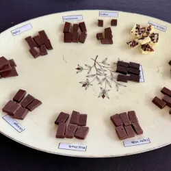 Cacao Farm Tours - Punta Gorda