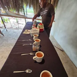 Cacao Farm Tours - Punta Gorda